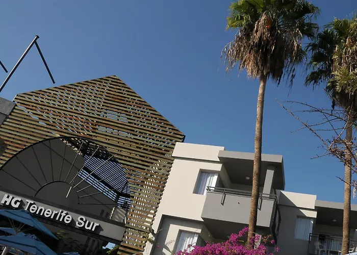 Hg Tenerife Sur